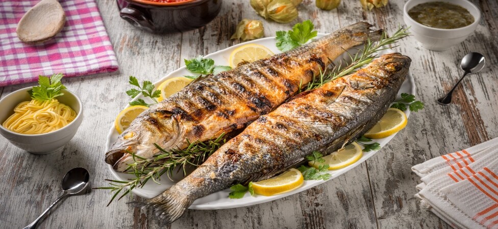 Brancin u belom vinu