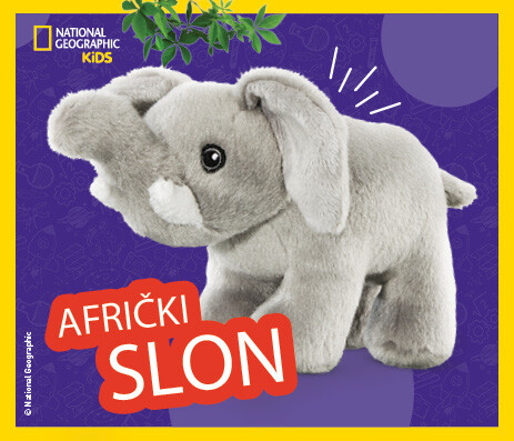 Afrički slon