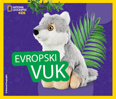Evropski vuk