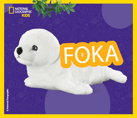 Foka