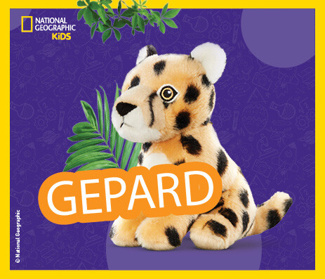 Gepard