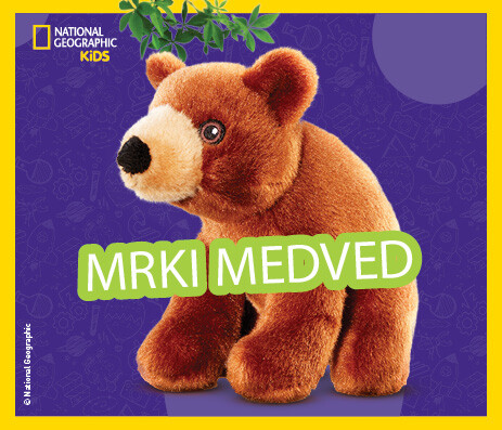 Mrki medved