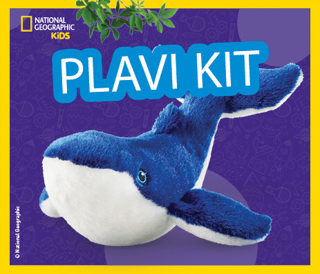 Plavi kit