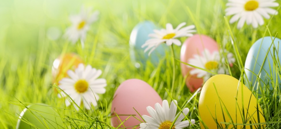 IDEA je na raspolaganju svim potrošačima