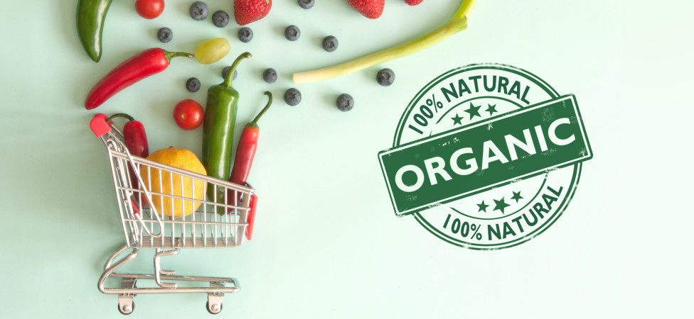 IDEA Organic na IDEA online!