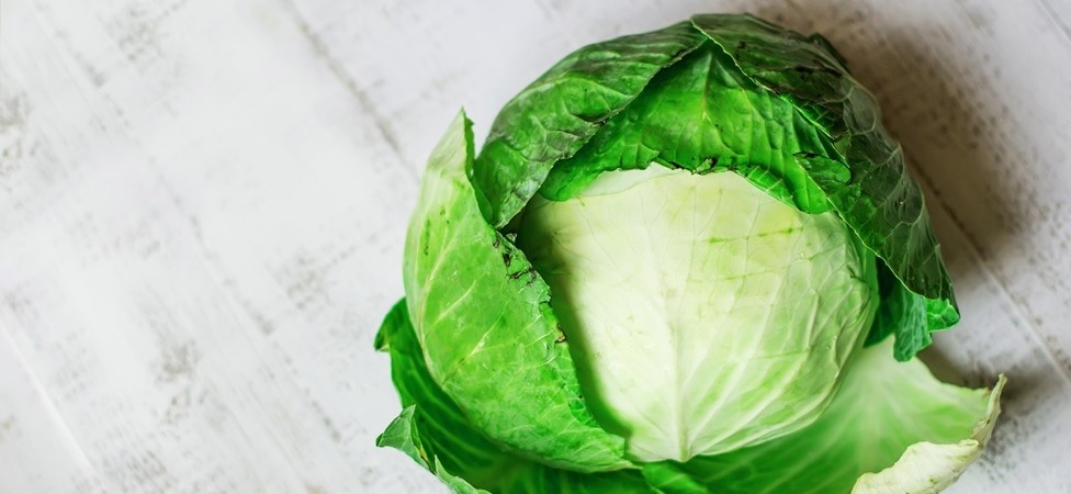 Nedelja kupusa i salate