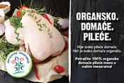 Organska piletina ponovo u našim prodavnicama