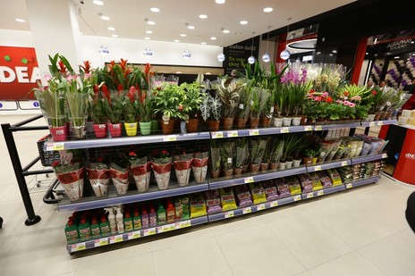  IDEA super na Karaburmi 08