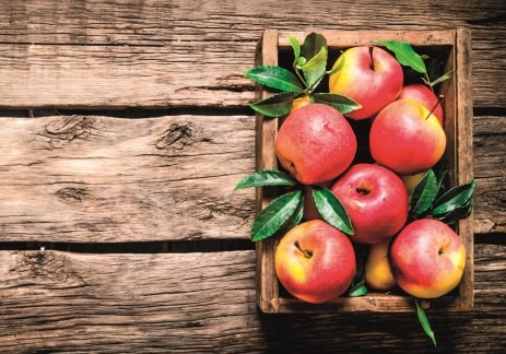 100X puna gajba svežih jabuka