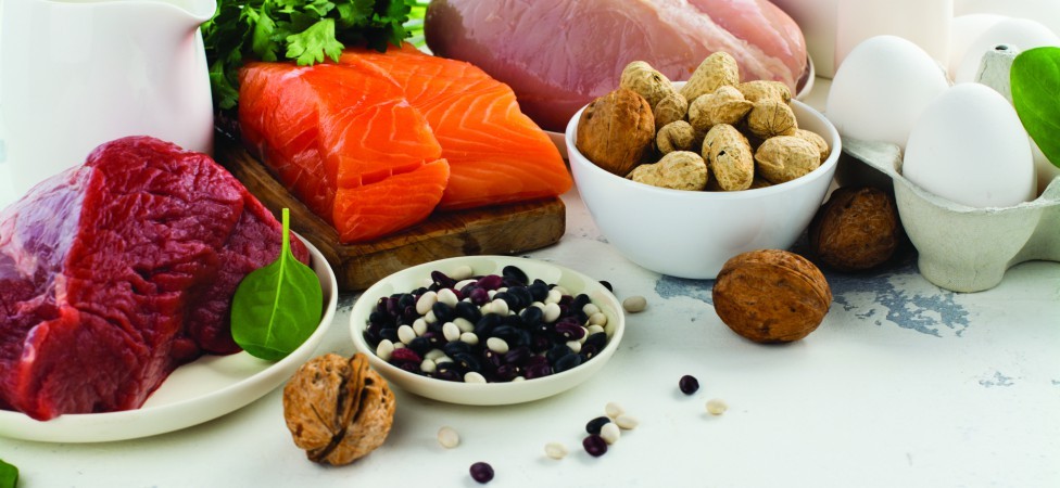 Proteini - grade, regulišu, štite