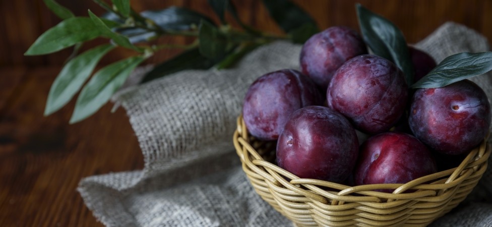 Šljiva je najjači antioksidans