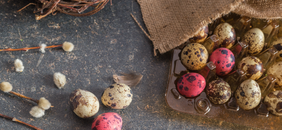 Superhrana zvana jaje