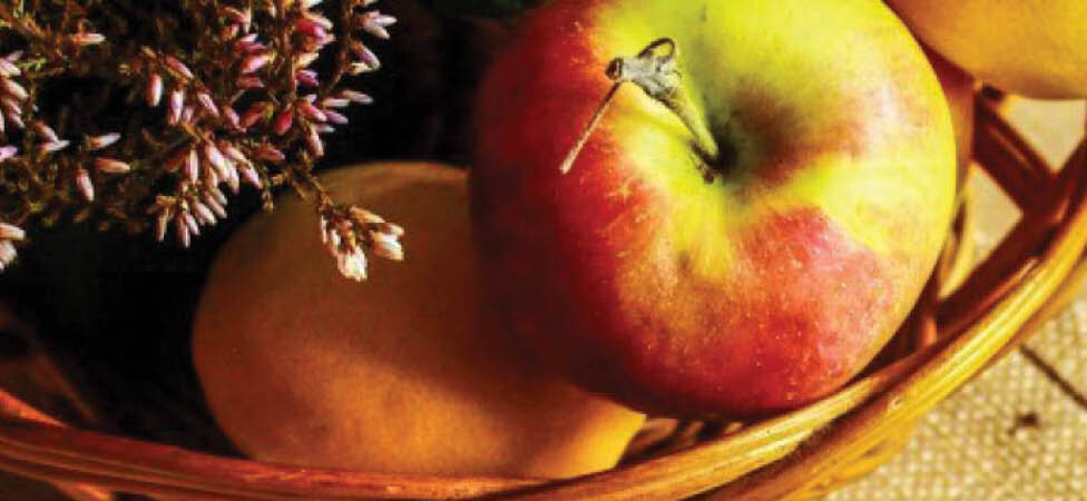 Organske namirnice u ishrani dece