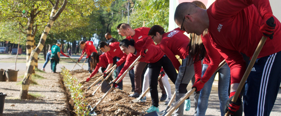 Budi odgovoran, posadi IDEA drvo
