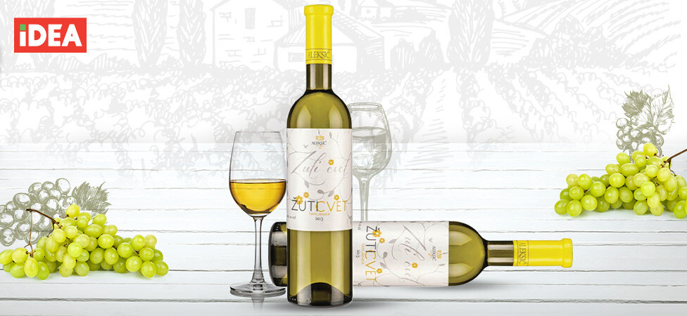 Žuti Cvet Tamjanika Aleksić