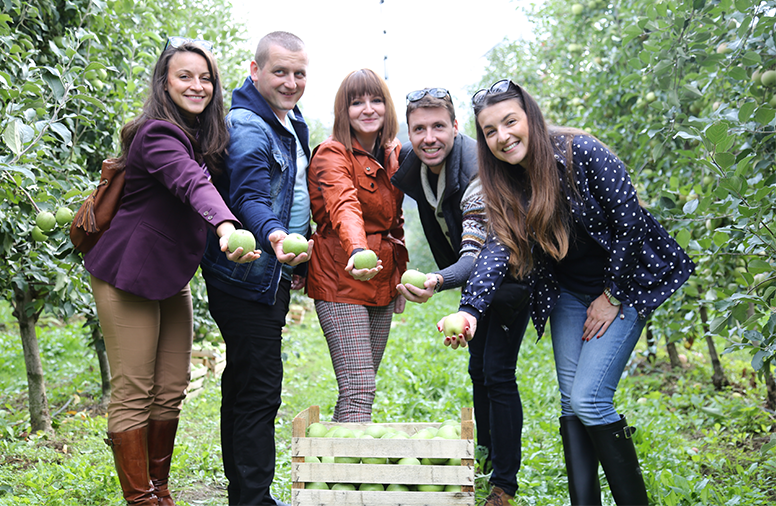 776x506 branje jabuka