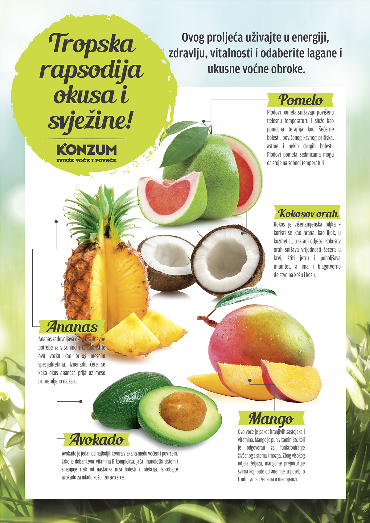 Oglas egzoticno voce facebook oglas