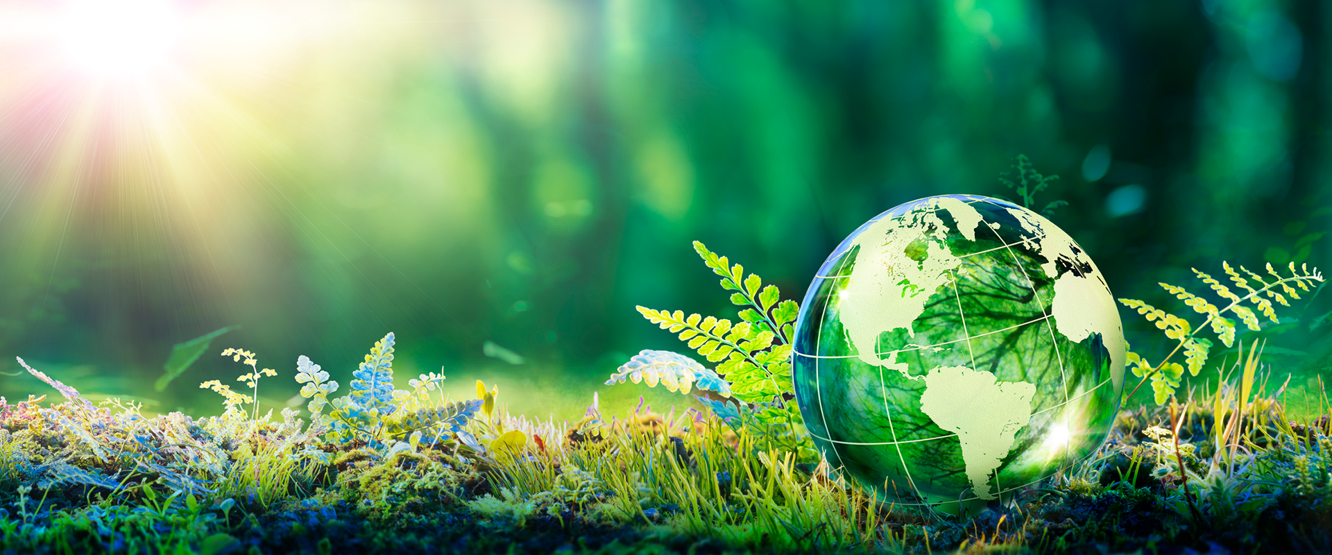 Imamo održiv plan za našu planetu